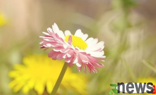 How to prevent colds? Practical life tips at home