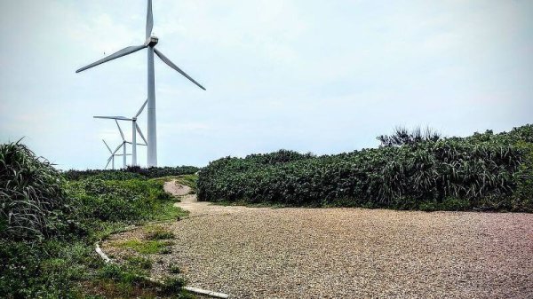 The only one in Taiwan is Taoyuan Park, Caoluo Sand Dunes Landscape Park! Chaoyin Sea View Trail Cross the Dragon Cat Tunnel to the Mini Sahara Desert