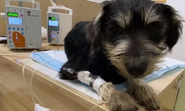 The key points of care after sterilization surgery must be remembered