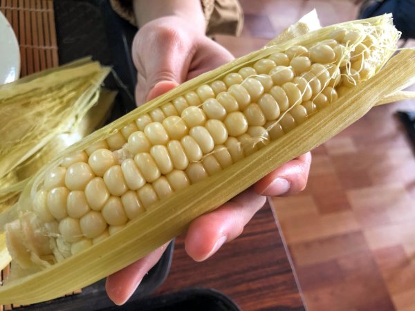 Talk about food and life / The past and present life of corn from America to Asia