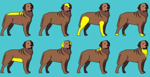 When you touch these 8 positions of the puppy s body, it will thank you very much!