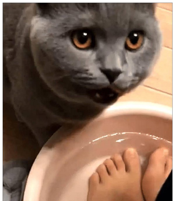 The woman was washing her feet at home, and the cat ran over and took a sip of foot washing water. The next second, the expression made people laugh.