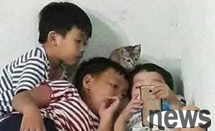 Three little kids at home are looking at their phones, but there is a kitten watching over them. I really think I can understand them.