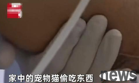 The kitten stole food, and the man was bitten when he hit it, and his calf was infected and swollen like a balloon