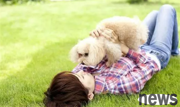 Is it cost money to raise a dog? Let s calculate it carefully for you below