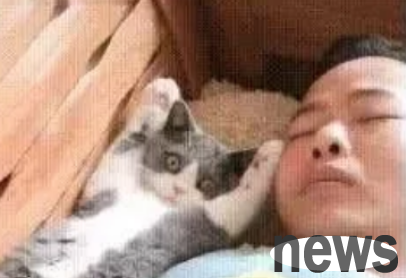 The cat slept with the male protagonist, and when the female protagonist discovered it, she looked panicked: Mom, I didn’t do anything!