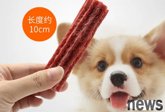 At what age can a puppy eat teething sticks? The master looks over