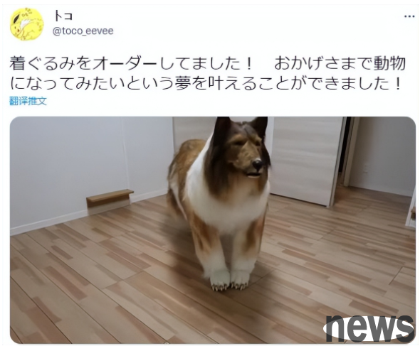 Spending 2 million yen to turn himself into a 