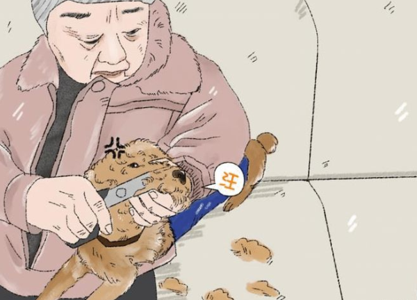 So funny! Grandma shaves Teddy’s hair, it’s like the dog’s acupoints have been clicked