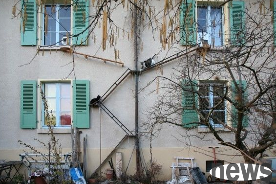Photographer discovers Swiss wonders: Every house has its own cat staircase